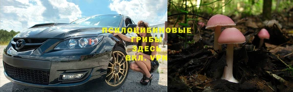 дживик Балахна